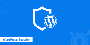 Wordpress security